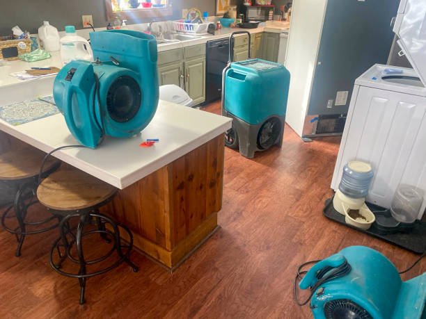 Best Professional water damage repair  in Merrionette Park, IL
