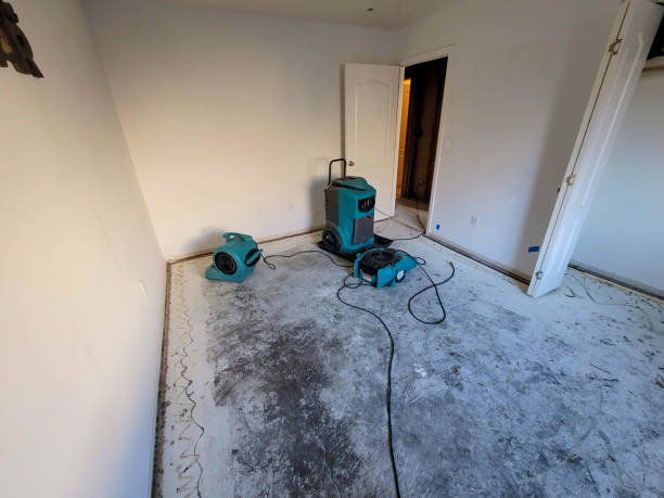 Best Ceiling water damage repair  in Merrionette Park, IL