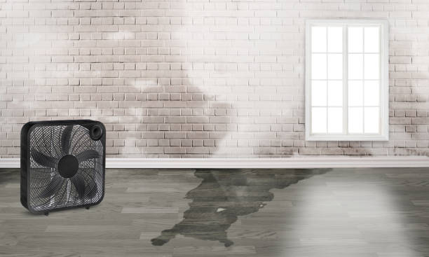 Best Residential water damage restoration  in Merrionette Park, IL