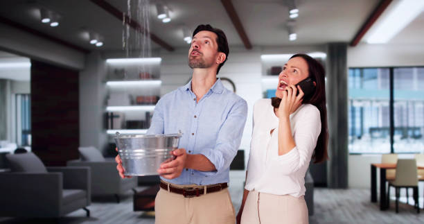 Best Flooded house restoration  in Merrionette Park, IL